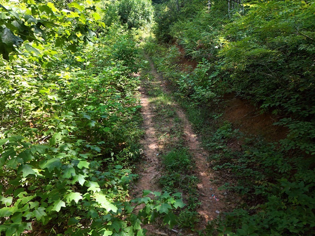 Picture 31