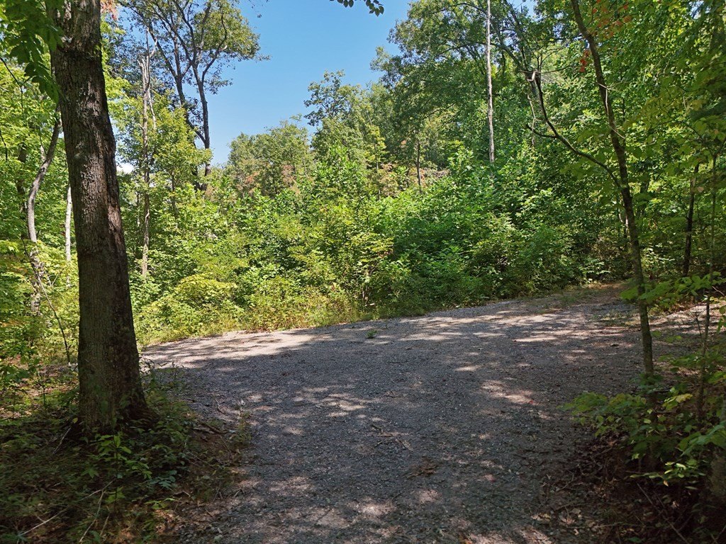 Picture 16