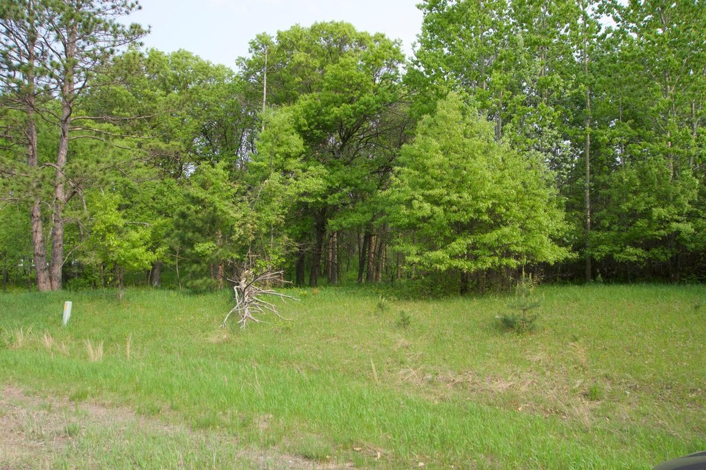Picture 4