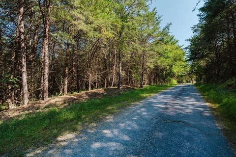 Waterfront Recreational Land Lot