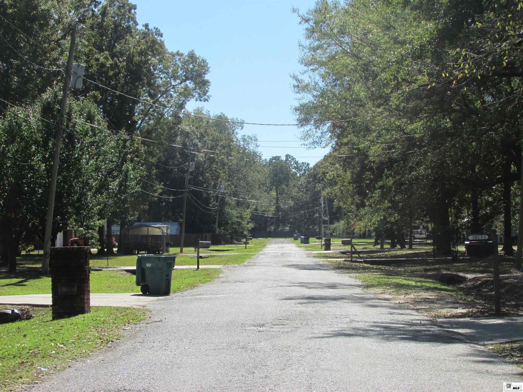Picture 4