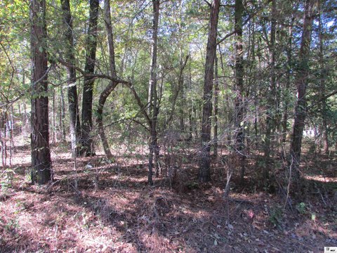 Residential - Bastrop, LA