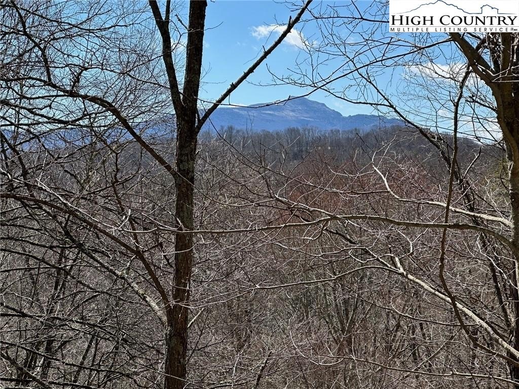 Land Near Moses Cone Park