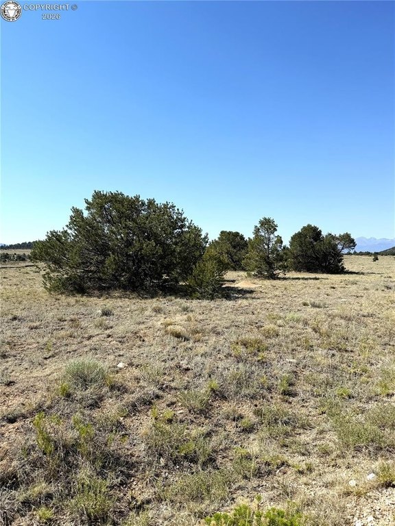Picture 28