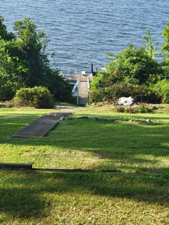 Picture 8