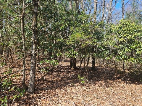 LAND - Roaring Gap, NC