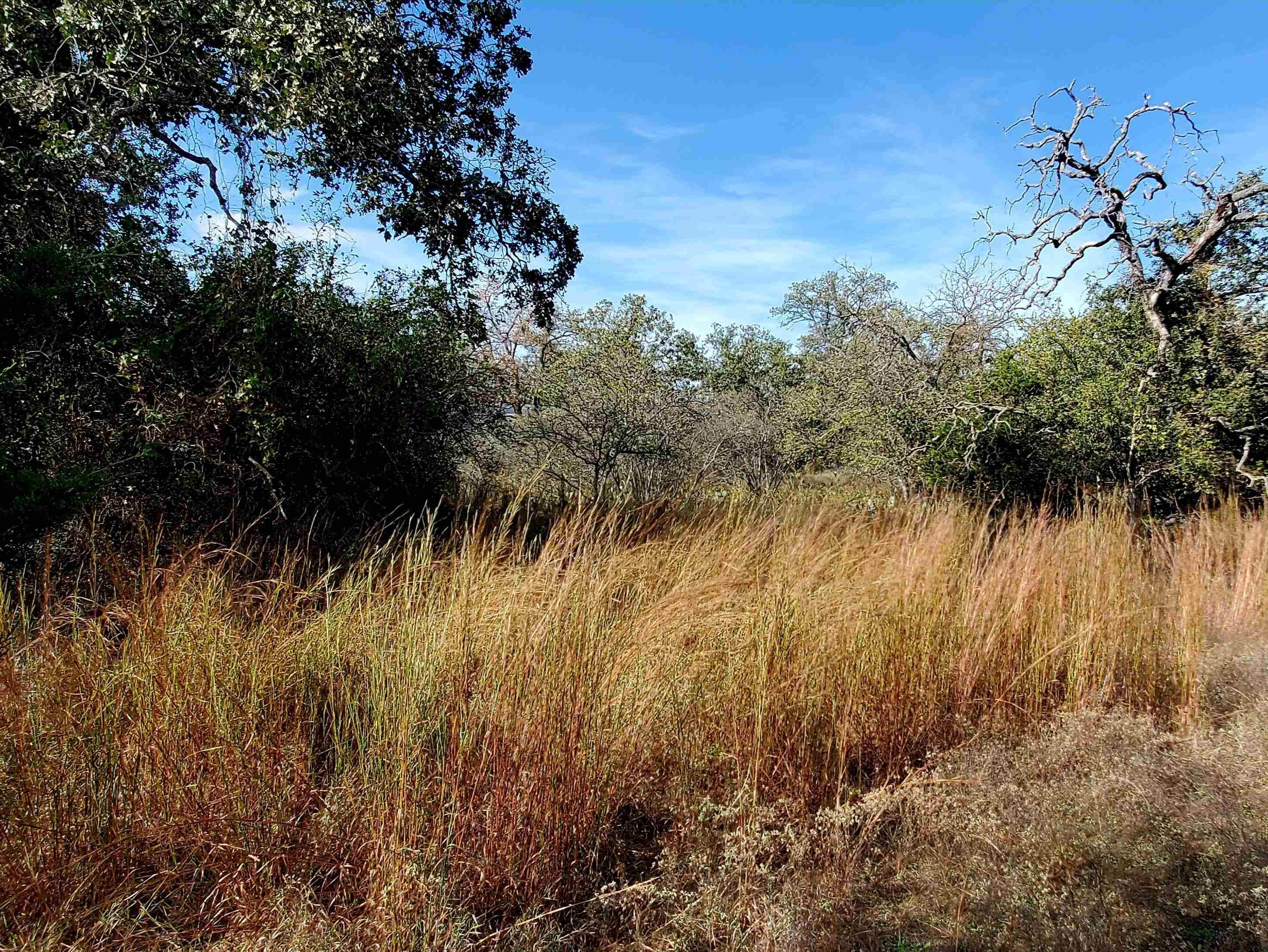 Kingsland, TX Land Opportunity
