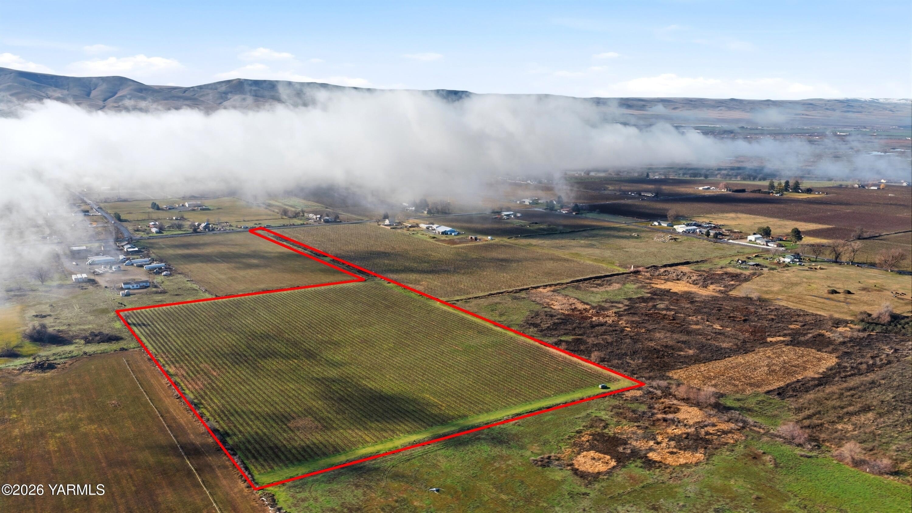 Prosser WA Vineyard Land
