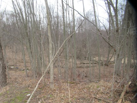 20 Acres of Vacant Land