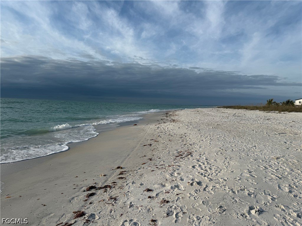Picture 45