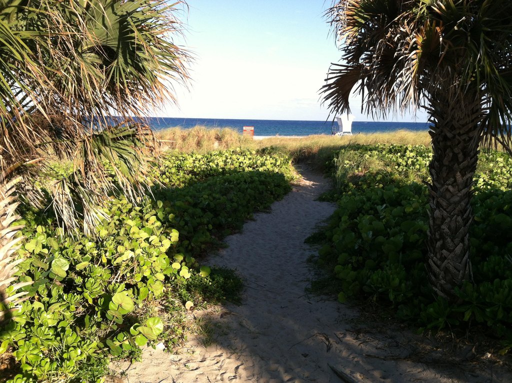 Picture 7
