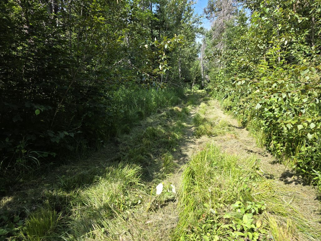 Picture 11