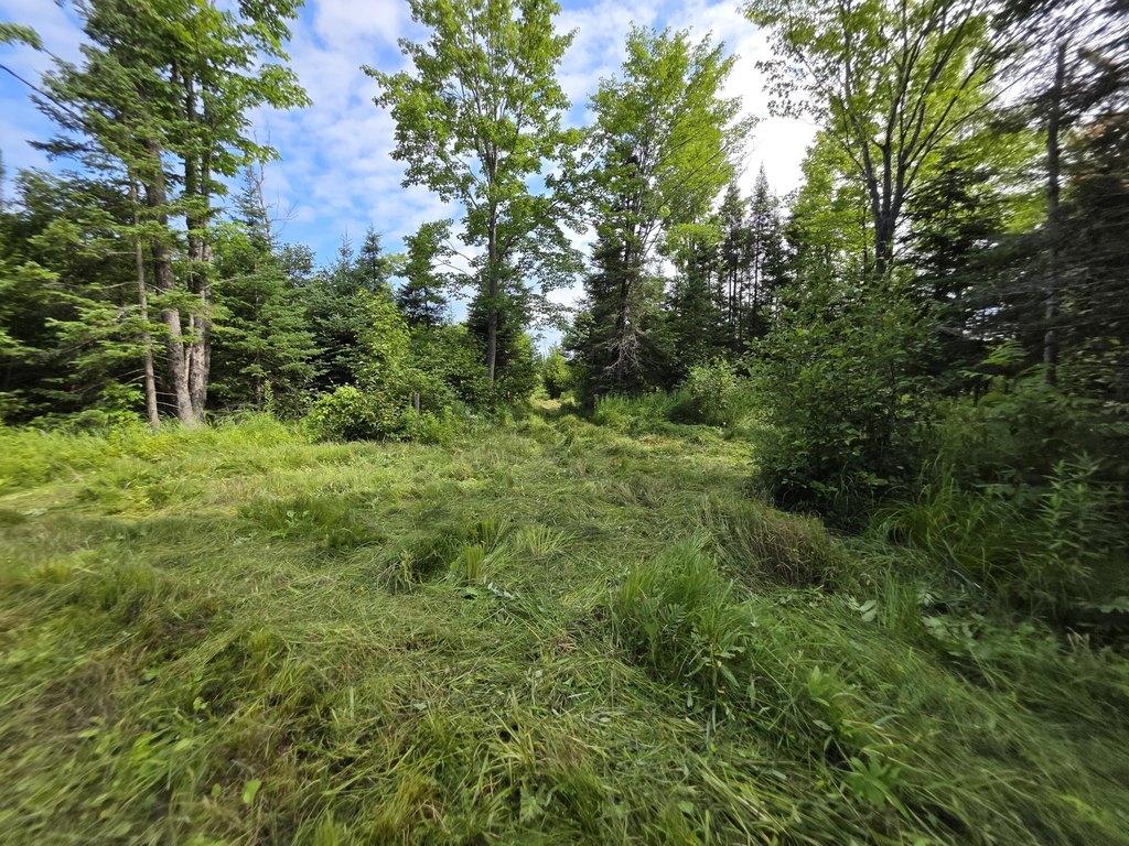 Picture 17