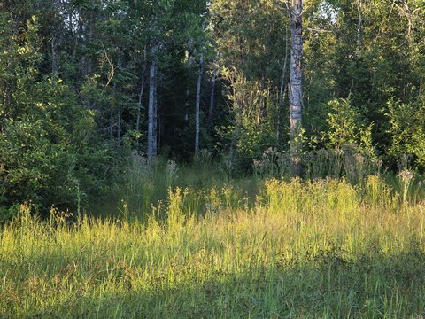 LAND - Rudyard, MI
