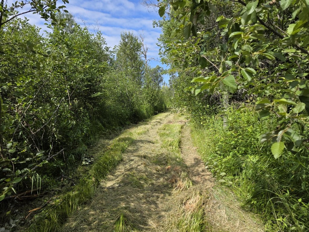 Picture 6
