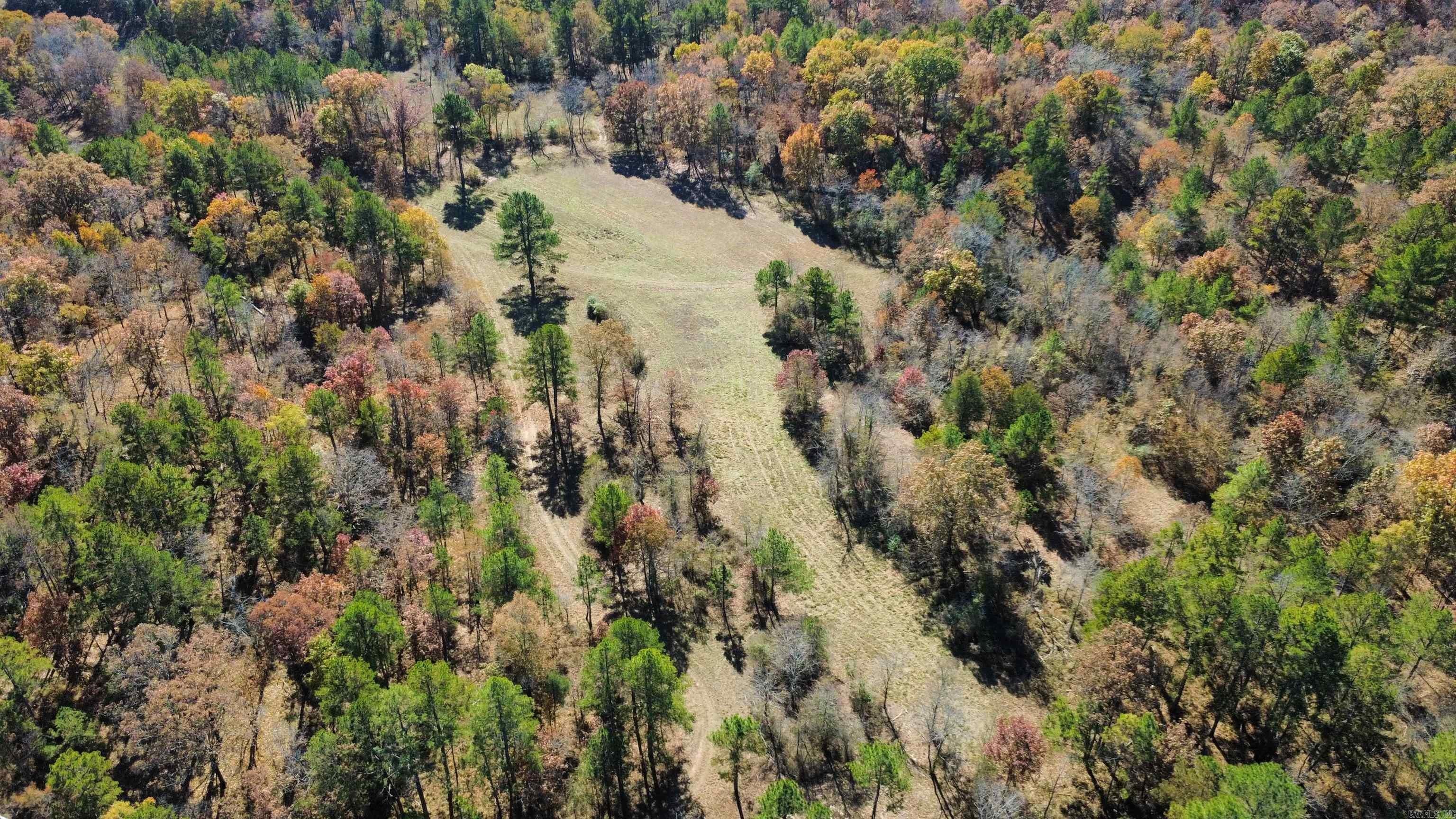 80 Acres Near Jessieville, AR
