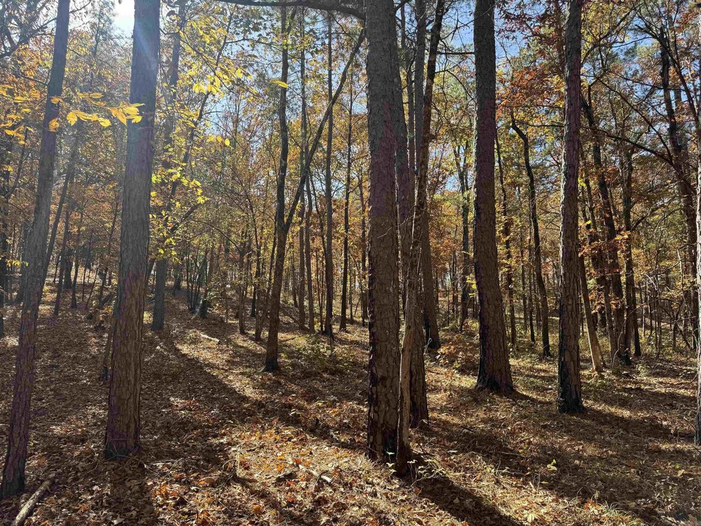 Picture 18