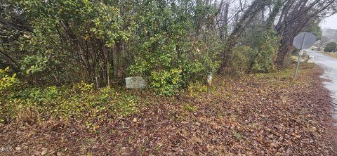 Residential Land in China Grove