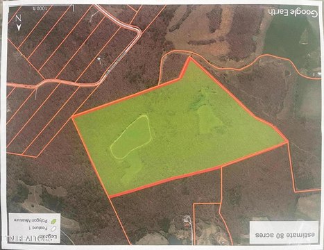 80 Acres of Scenic Land