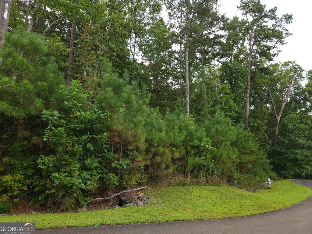 Picture 9