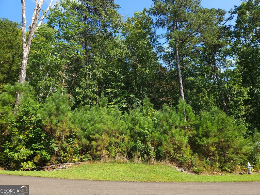 Picture 10