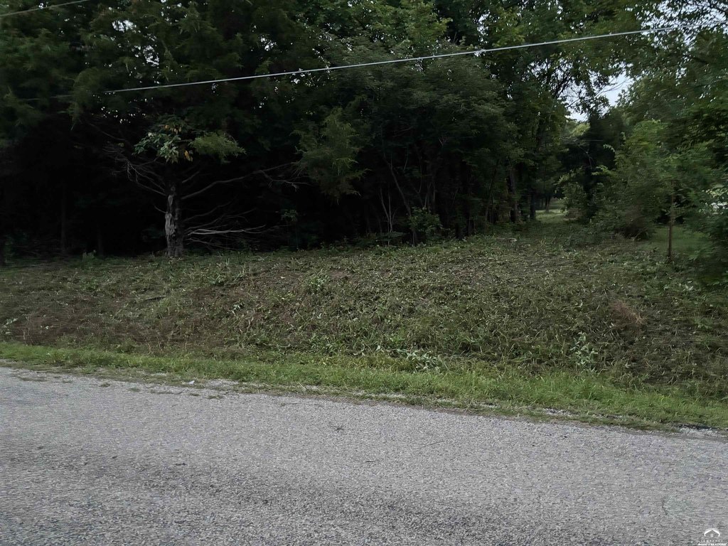 Picture 5