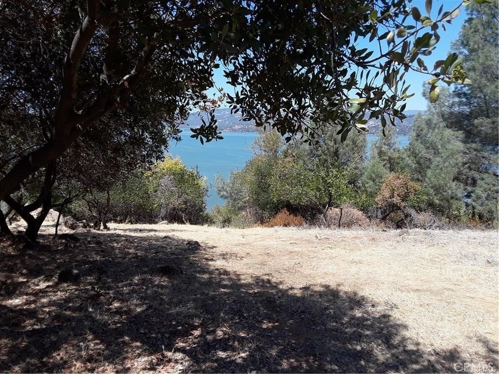Picture 2