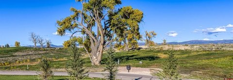 Mountain View Residential Home Site