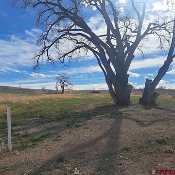 Montrose, CO Land For Sale