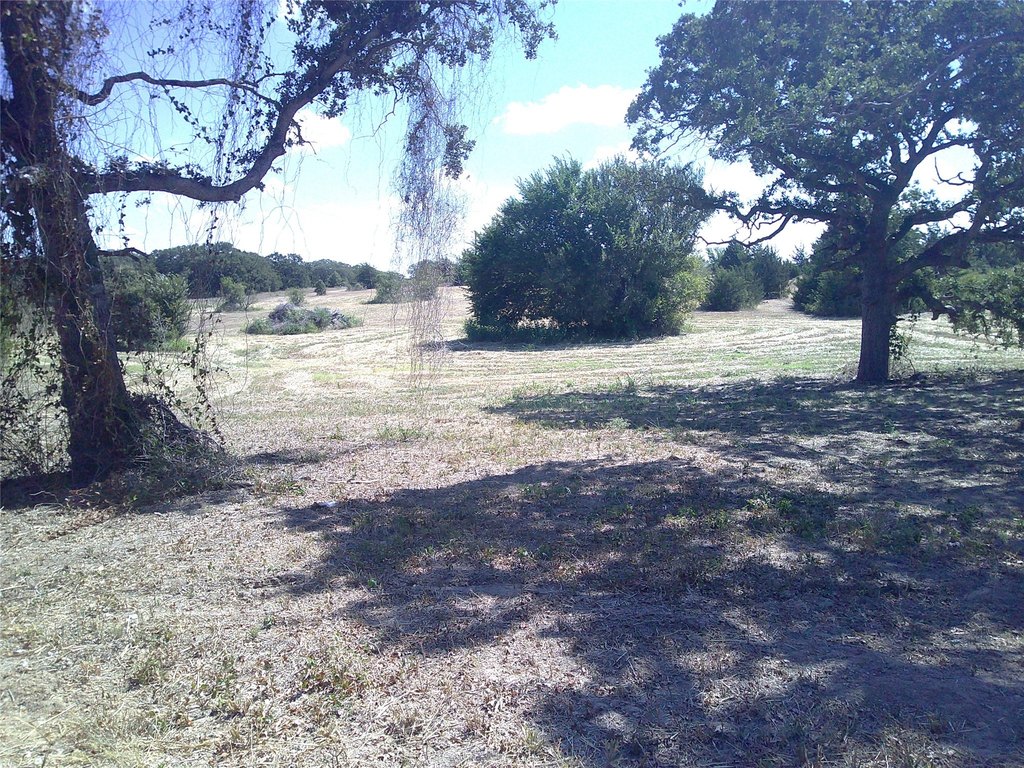 Picture 3