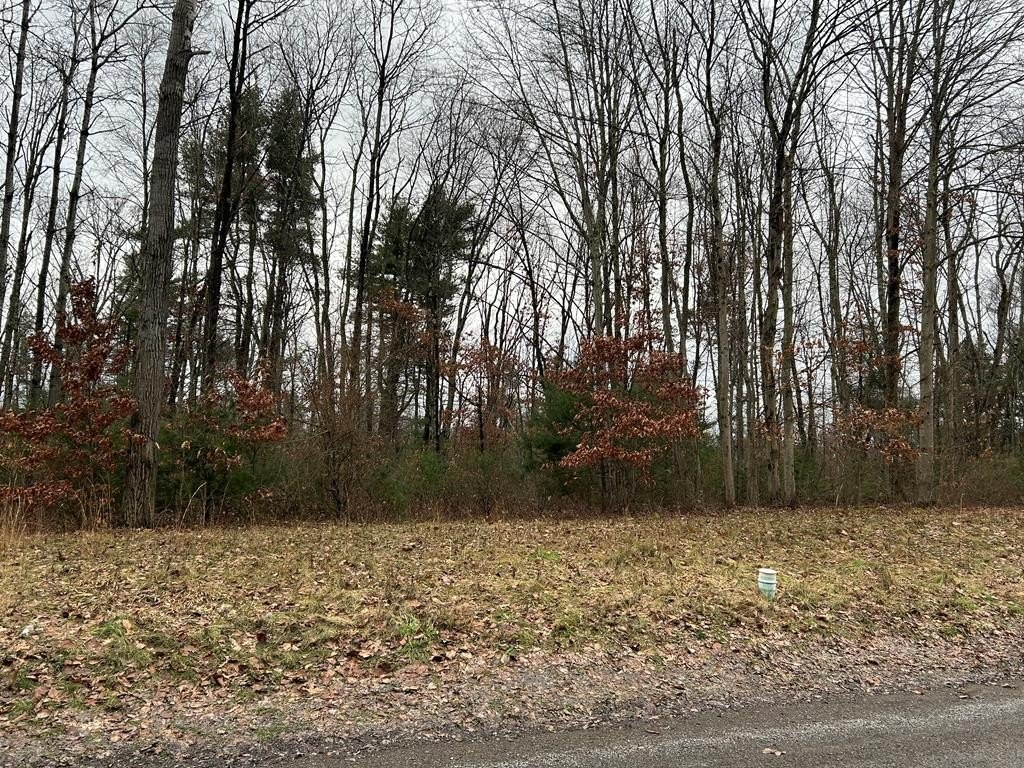 Shippenville Wooded Building Lot