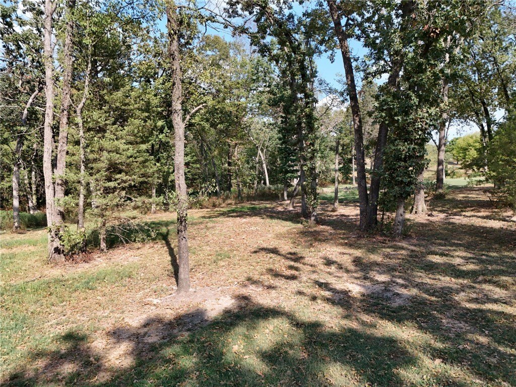 Picture 17