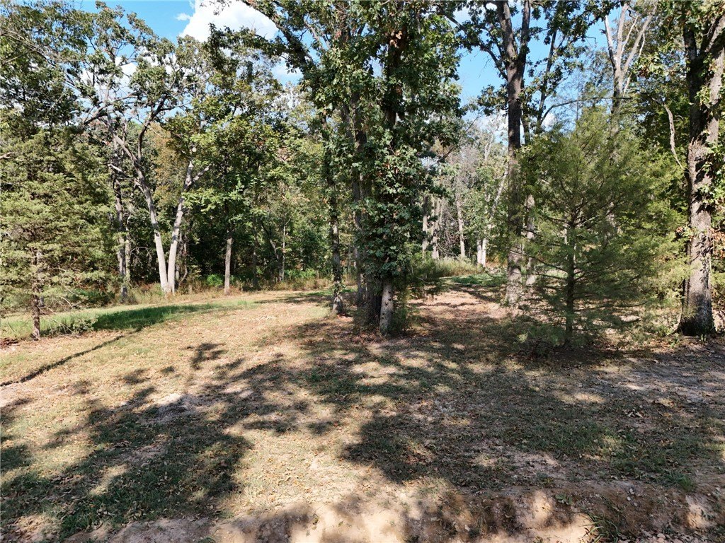 Picture 16