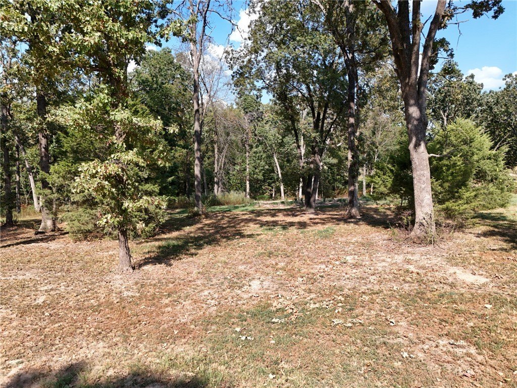 Picture 14