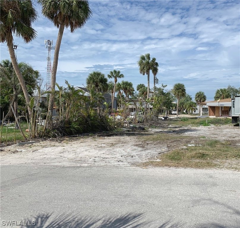 Picture 3