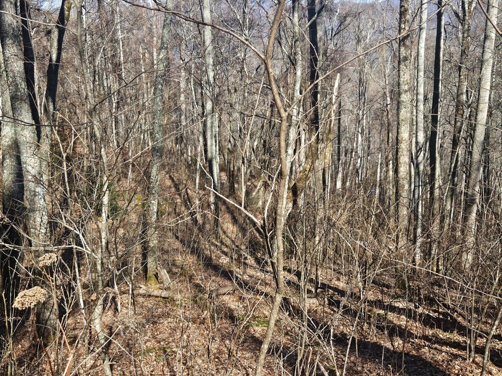 Picture 17