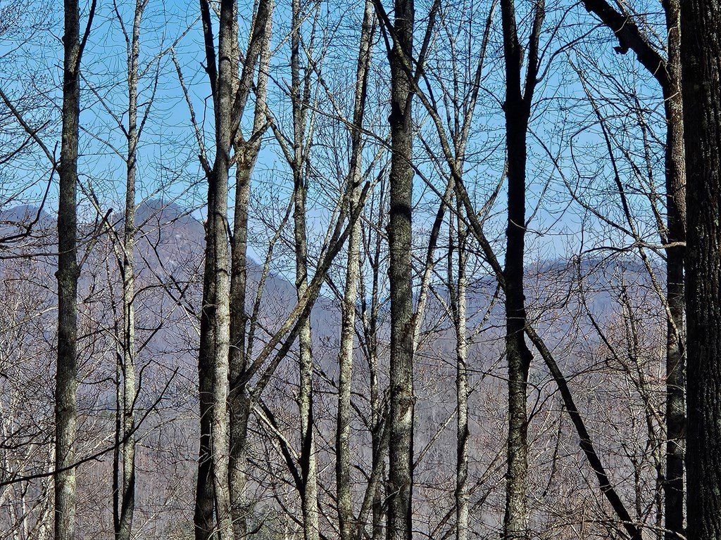 Picture 25
