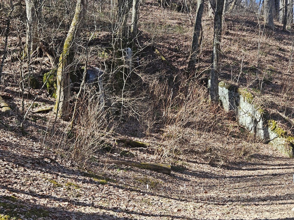 Picture 20