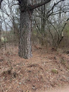 Land in Quitman, Arkansas