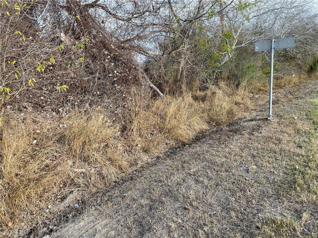 Land on I-37 Access Road