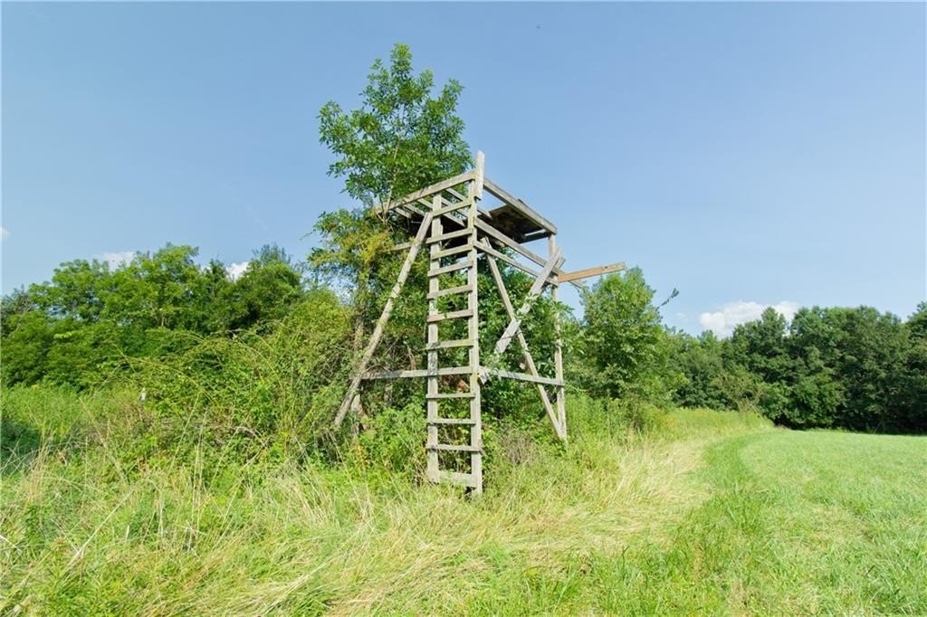 Picture 16