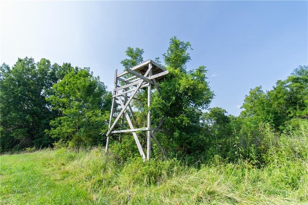 Picture 17