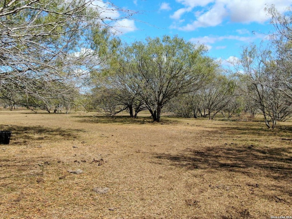 Picture 6