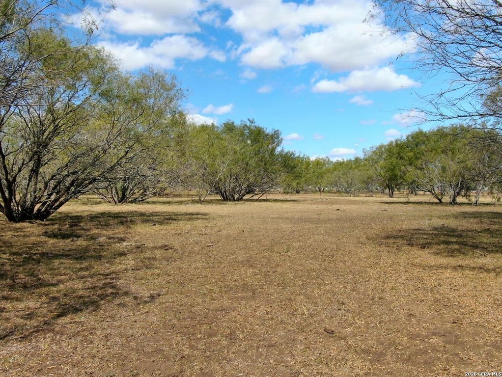 Picture 9