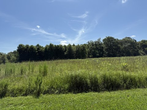 20 Acre Pasture Land