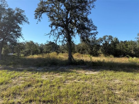 Land, BRONSON, FL