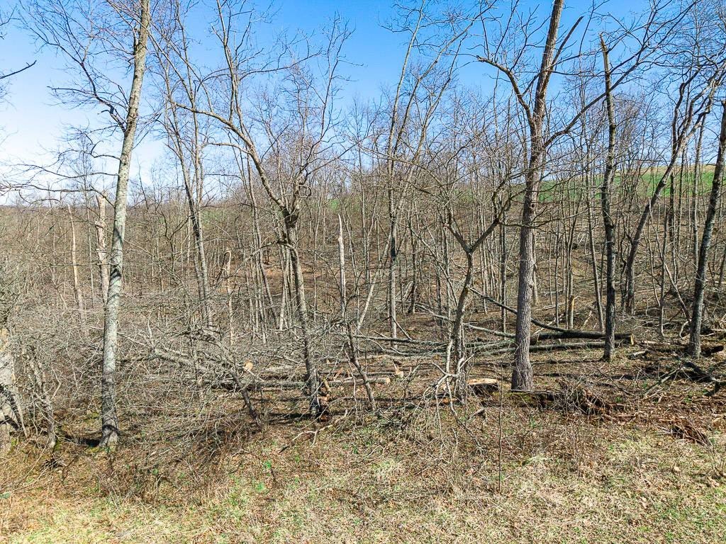 Picture 8