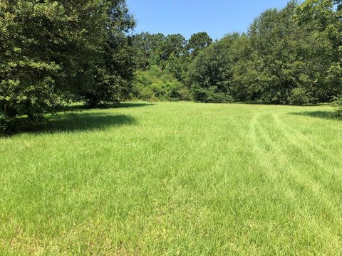 Carriere, MS Land For Sale