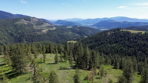 Timber Recreation Land With Access