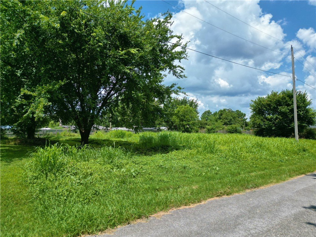 Picture 7